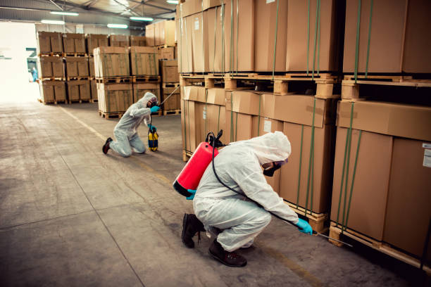 Best Best Pest Control Companies  in South Berwick, ME