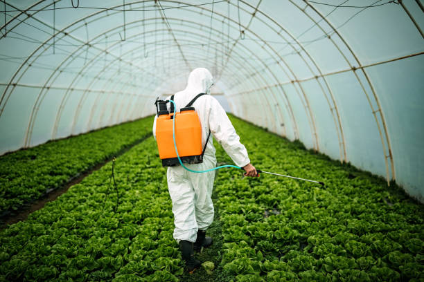 Best Pest Control Near Me  in South Berwick, ME