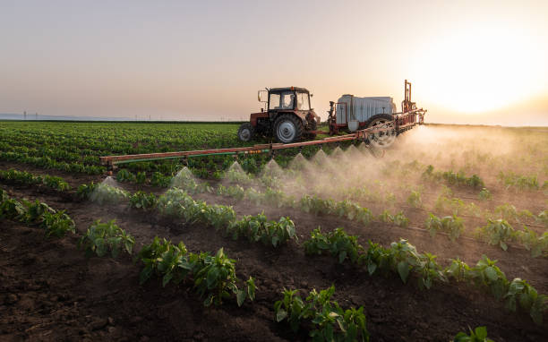 Best Mosquito Control Services  in South Berwick, ME