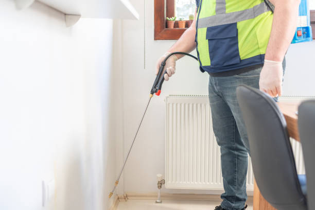 Best Termite Control Services  in South Berwick, ME