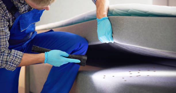Best Flea Control Services  in South Berwick, ME