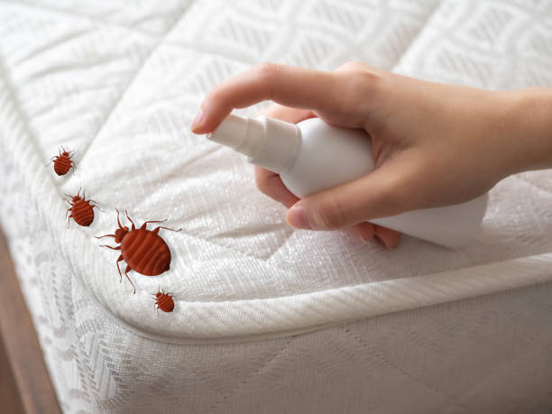 Best Residential Pest Control  in South Berwick, ME